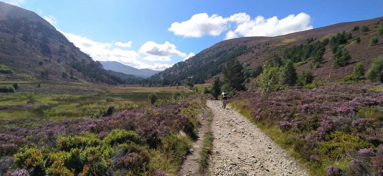 IMG_20200815_133957_1